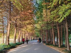 -石湖景区