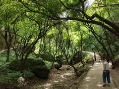 -玉华宫景区