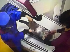 -美联众合动物医院·24h转诊中心