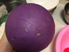 -多乐狗狗宠物训练工作室