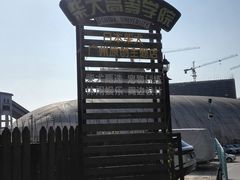 -柴犬高等学院·狗咖·柴犬售卖·宠物训练