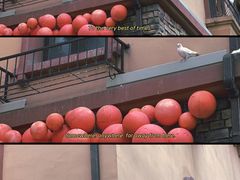 -世园罗曼小镇