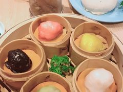 -一笼小幸运