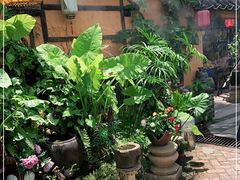 -园林美食城·本土农家菜(杨和镇店)