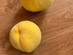 -南汇新场正宗水蜜桃采摘