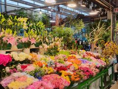 -朝来春花卉市场