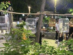 -蘇河湾·新鲁菜·泰山宴(泰山店)