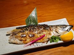青花鱼-有喜屋·烧鸟·居酒屋(周浦万达店)