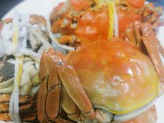 -蟹天蟹地农家菜·阳澄湖大闸蟹(浅水湾店)