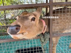 -珠海海泉湾神秘岛亲子乐园