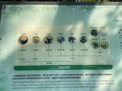 -都江堰中华大熊猫苑