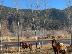 -泸沽湖国家级风景名胜区走婚桥