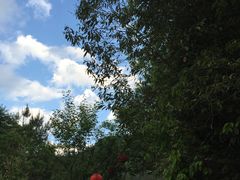 环境-仙店农庄(湖景农庄餐厅)