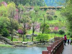 -桃花岭景区