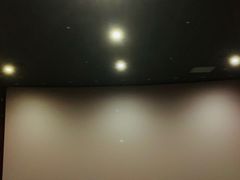 -SFC上影百联影城(八佰伴IMAX店)