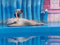 -华夏文旅海洋公园