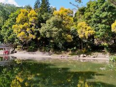 -深圳国际园林花卉博览园