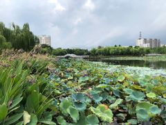 -映月湖公园