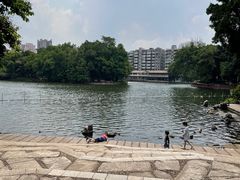 -荔湾湖公园