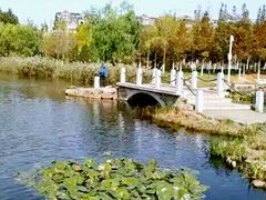 -前关湿地公园