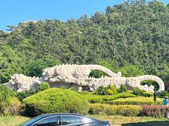 -大连老虎滩海洋公园