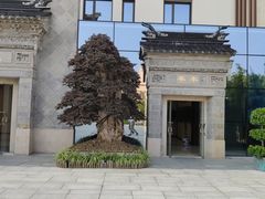 -国寿嘉园·苏州雅境