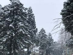 -庐山恋影院(河西路店)