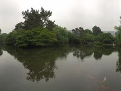 -西湖外事游船(花港观鱼码头)