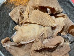 脆毛肚-东来顺铜锅炭火涮肉(上地华联店)