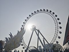 -海合安武汉极地海洋公园