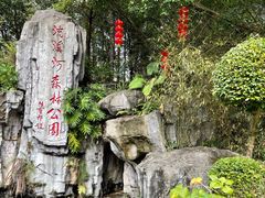 -广州市流溪河国家森林公园