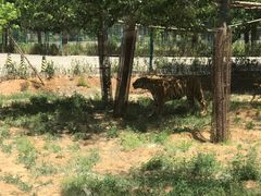 -秦皇岛野生动物园