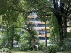 -成都市活水公园