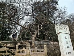 -潭柘寺景区