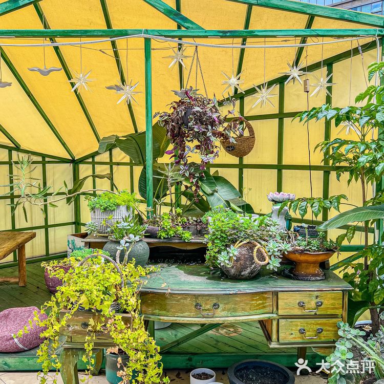 今天就解锁一家隐藏在东门的宝藏泰式料理专门店