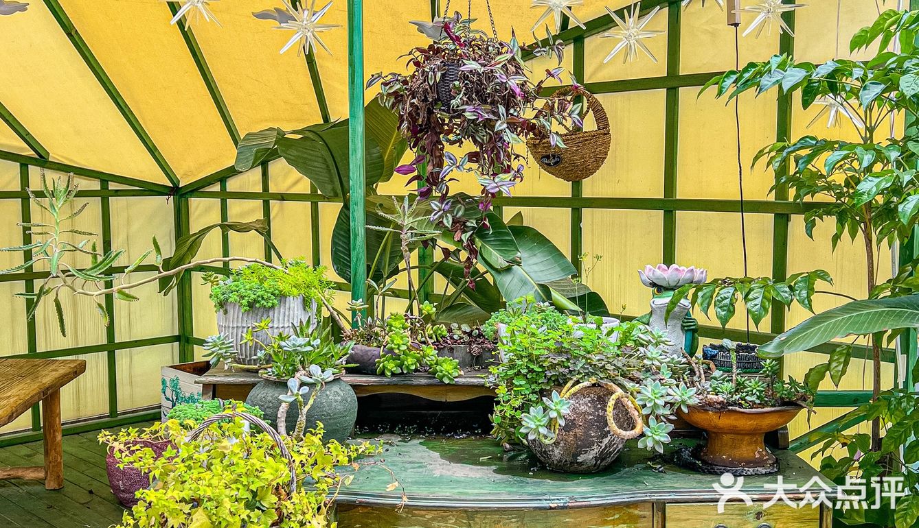 今天就解锁一家隐藏在东门的宝藏泰式料理专门店