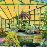 今天就解锁一家隐藏在东门的宝藏泰式料理专门店