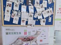 -宠颐生中康贝怡动物医院