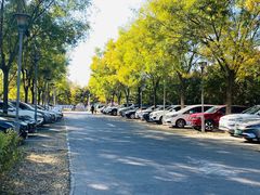 -大兴滨河森林公园