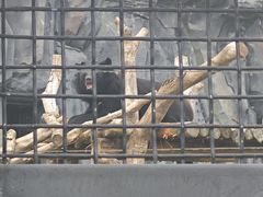 -武汉动物园