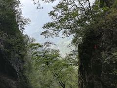 -塔云山