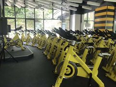 -金吉鸟健身游泳