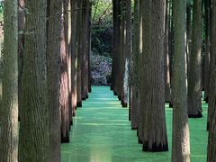 -青山湖景区