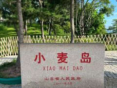 -小麦岛公园