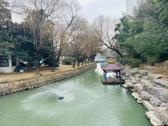 -同里湖度假村(二期店)
