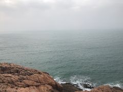 -广东惠东海龟国家级自然保护区