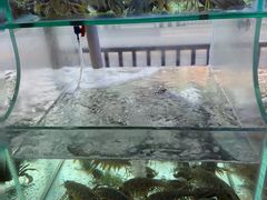 -凯华海鲜火锅·传承三十六年