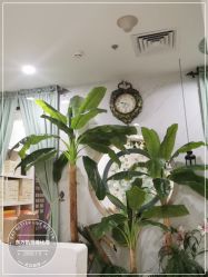 -东方凯丽·美容抗衰会所·菲比店