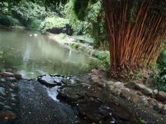 -成都市活水公园