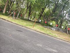 -吴淞炮台湾湿地森林公园烧烤区